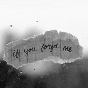 forget me