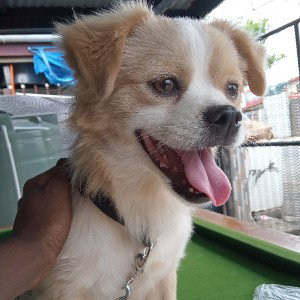 MOon 🌙 chILD679 🇫🇯 - Chill In The Neighbourhood -