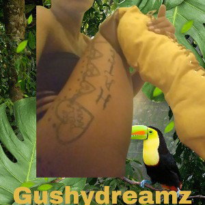 ms.pacman by Gushydreamz