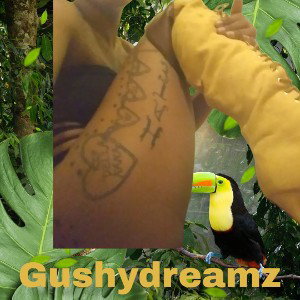 im back by Gushydreamz