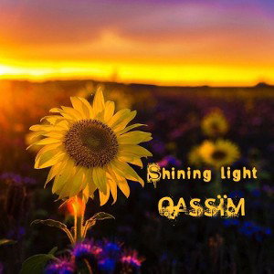 Shining Light