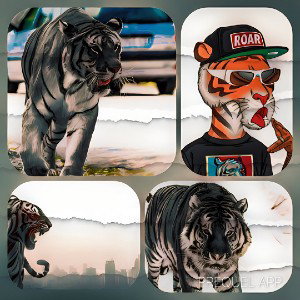 Tigers_in_da_hood 
