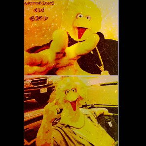 Big Bird remix feat Raul GQ