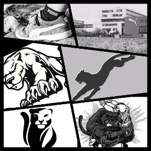 come_on_puma