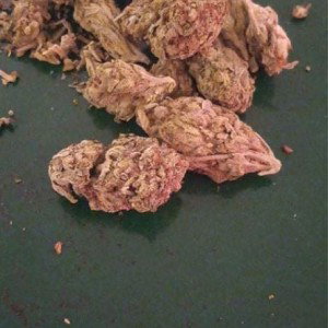 Master Throwed