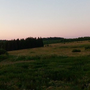 vadi boys - рискованый 