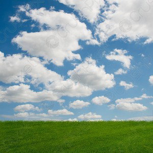 FUCK_A_CLOUDY