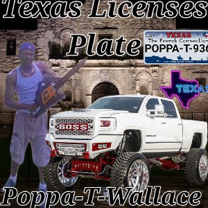 🇨🇱 Texas License Plate 🇨🇱
