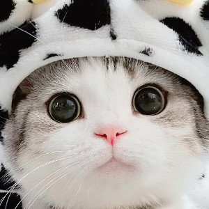 Я снова дома