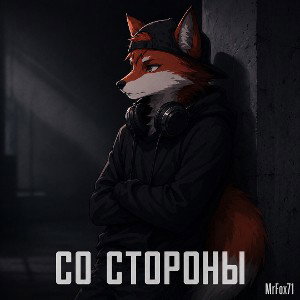 СО СТОРОНЫ