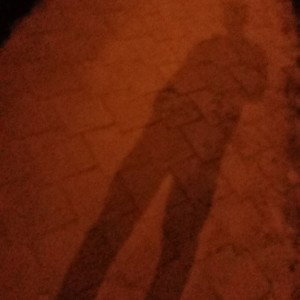 Князь -эй кто тут