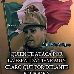 abladores 