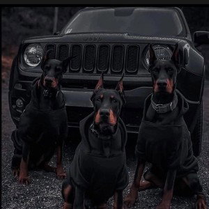 полтаблетки (VeskiyPovod & Sky & Belka)