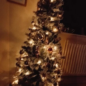/Xmas madness - kingsy