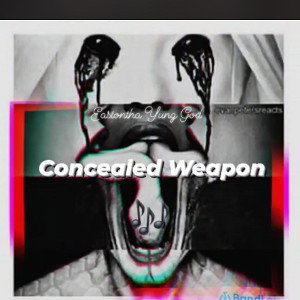 Easton - Concealed Weapon