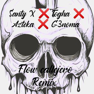 flow callejero remix