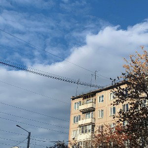 норм бит (дайте) рцнт24