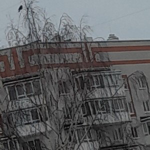 Усердное царство