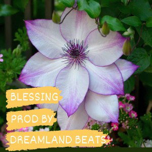 Blessing(Prod.By DreamLand Beats)