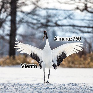 Viento.