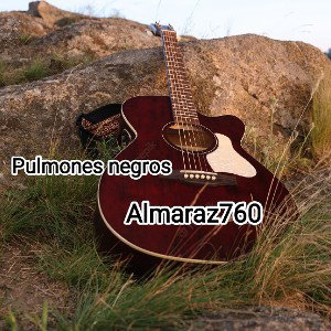 Pulmones negros.