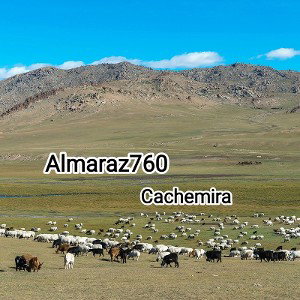 Cachemira .