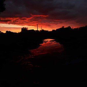 ella y la avenida 