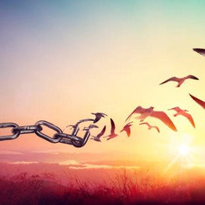 be free not beat 
