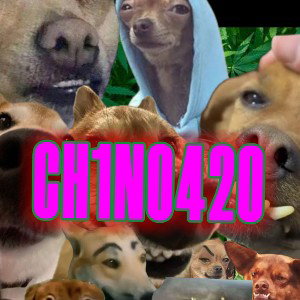ME CUESTIONA FREE