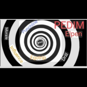  PEDIM
