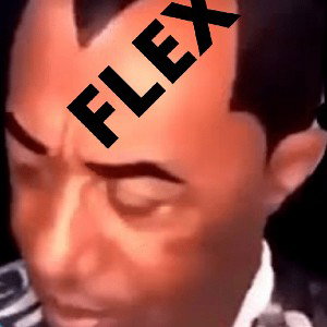 ALPHA - FLEX 