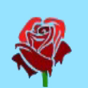 Una Rosa