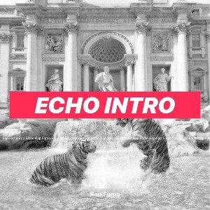 echo intro 