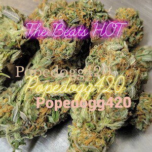The Beats Hot