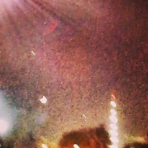freestyle pack  (ptnpvtpvp)-GAA$$HEM