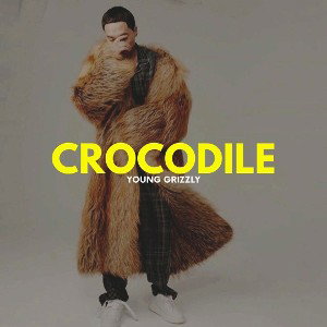 Crocodile