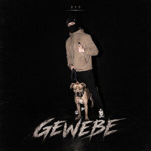 I’NS GEWEBE