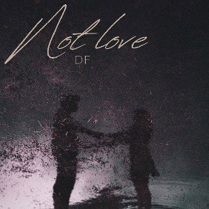 Not Love - DF