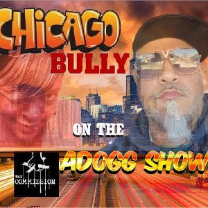 Chicago Bully