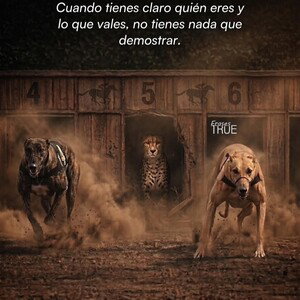 🎚️Next📼pensamientos🫟