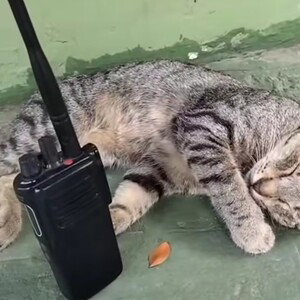 Relax