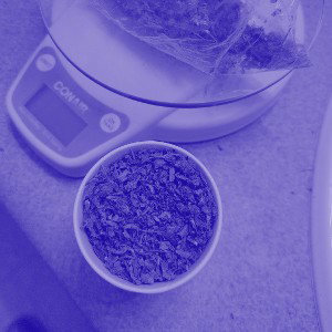 S2 episode 1 Vomit 2 (Slowed + Reverb)