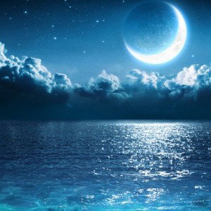 NOTTE FREDDA
