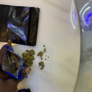 the drugs 