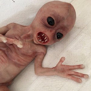 El Saturnunaniano Crece