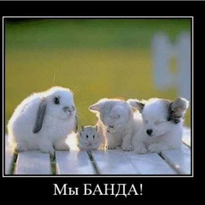 любовь