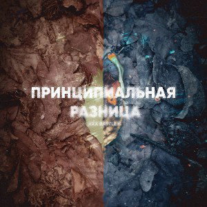 Принципиальная разница 