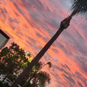 california