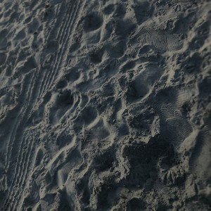 unknown tracks footsteps can mean something or nothing 