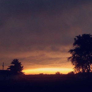calling the community